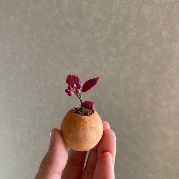 9803.bud 粘土の鉢植え 紅葉 5枚目の画像