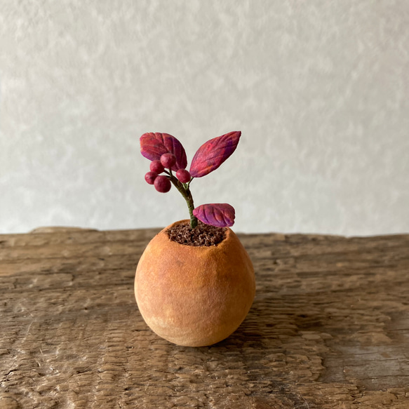 9803.bud 粘土の鉢植え 紅葉 1枚目の画像