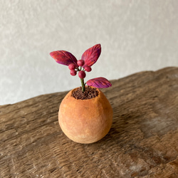 9803.bud 粘土の鉢植え 紅葉 4枚目の画像