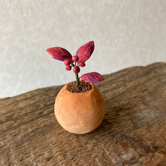 9803.bud 粘土の鉢植え 紅葉 4枚目の画像