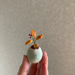 9805.bud 粘土の鉢植え 紅葉 5枚目の画像