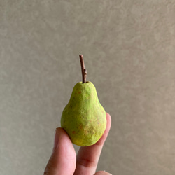 9813.bud 秋の実り 洋梨 5枚目の画像