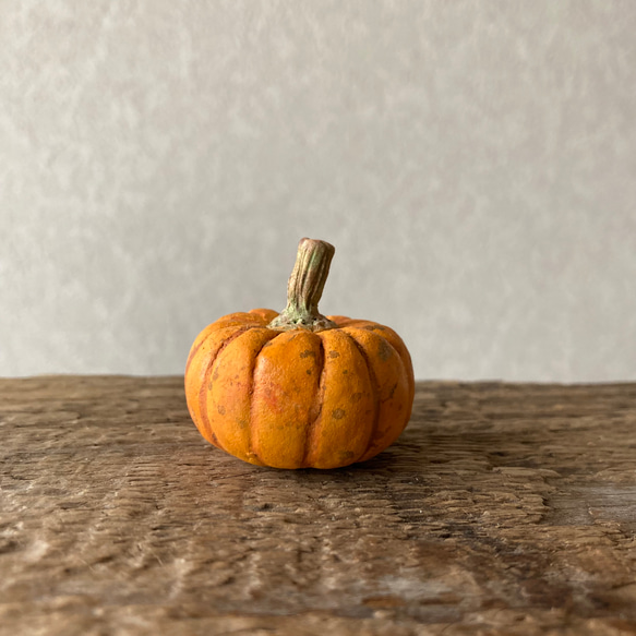 9816.［なおさま］bud 秋の実り 南瓜 1枚目の画像