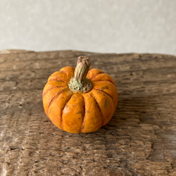 9816.［なおさま］bud 秋の実り 南瓜 3枚目の画像