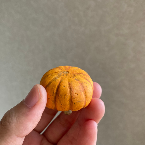 9816.［なおさま］bud 秋の実り 南瓜 6枚目の画像