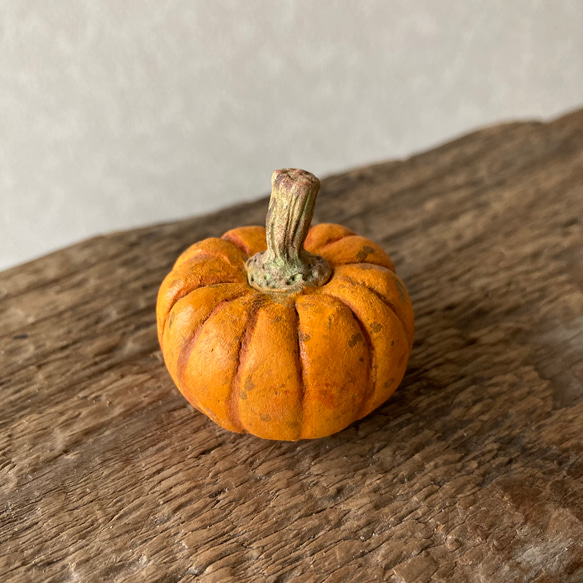 9816.［なおさま］bud 秋の実り 南瓜 4枚目の画像