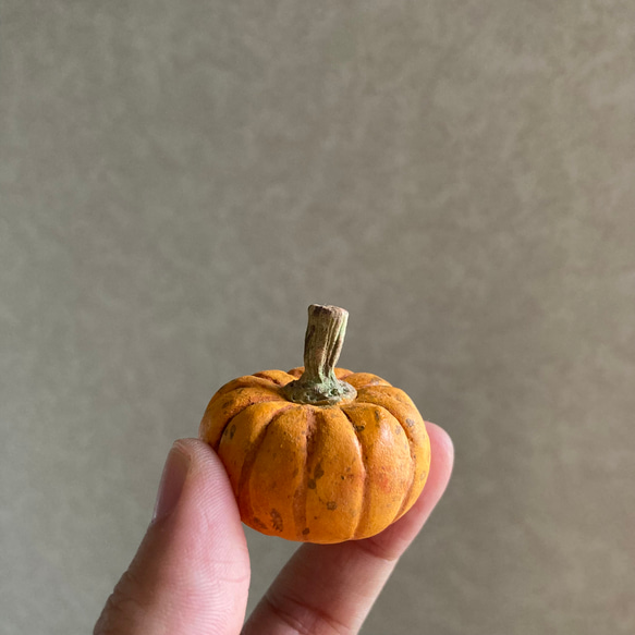 9816.［なおさま］bud 秋の実り 南瓜 5枚目の画像