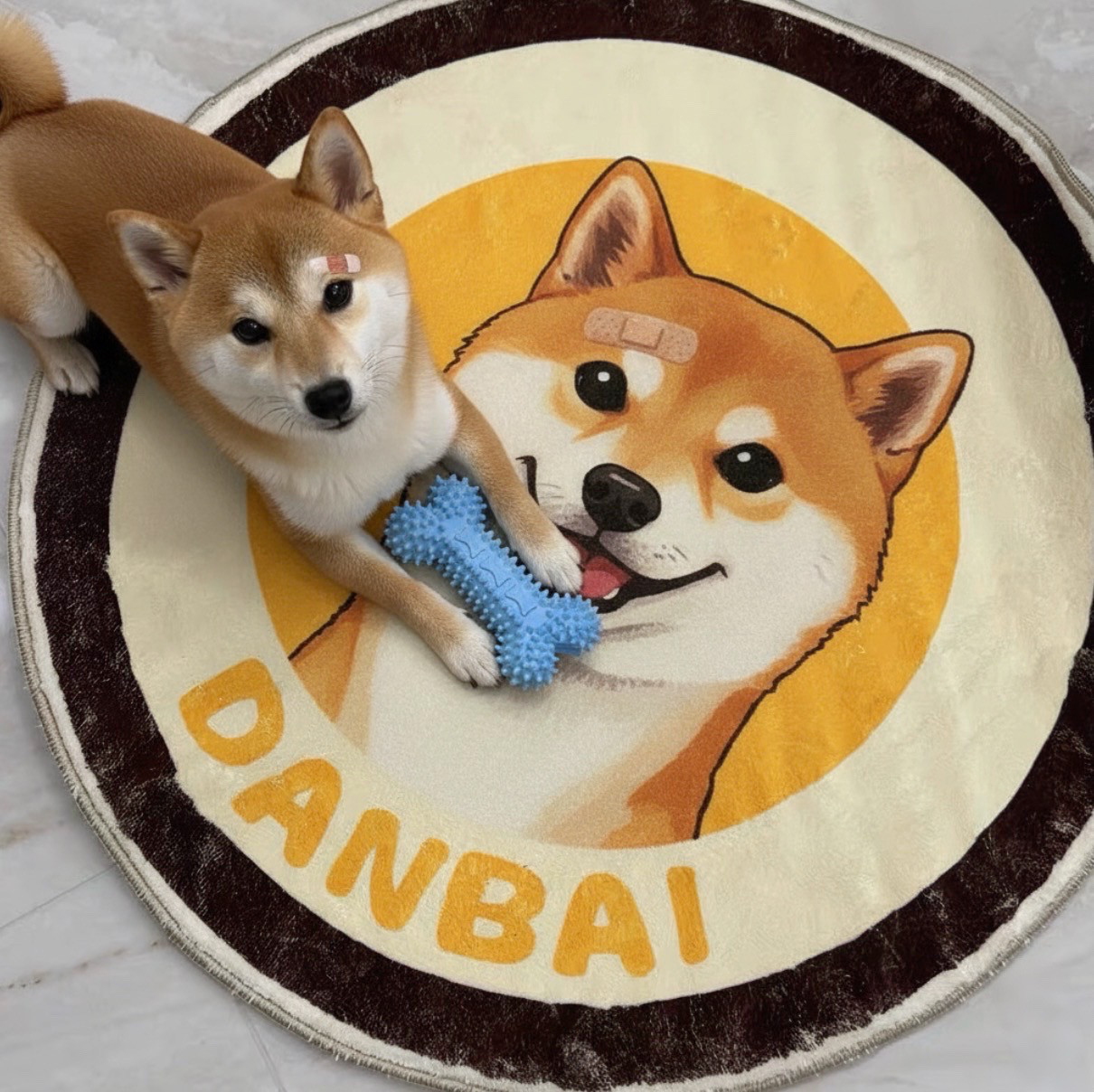 ペットの写真で作る特別なオリジナルアイテム 愛犬・愛猫のオリジナル記念品