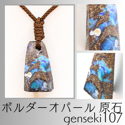 アンモナイト - 化石 - （鉄鉱化） kaseki45 天然石 せんとば～な～堂