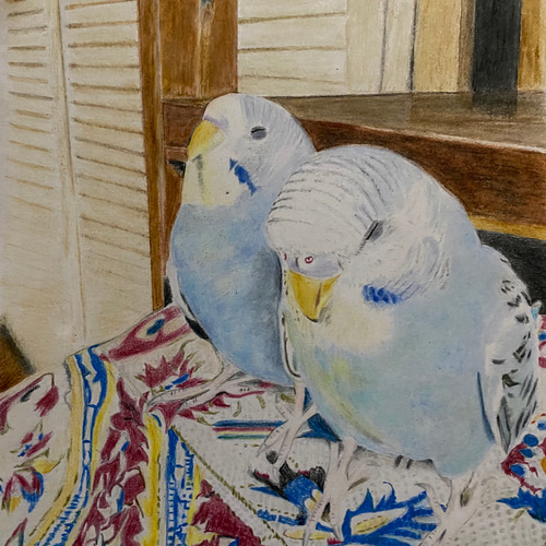 色鉛筆画 猫 犬 ペット オーダーメイド プレゼント 絵画 よこたん 通販