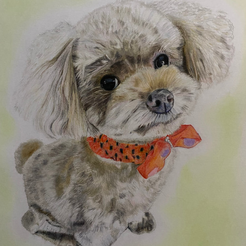 色鉛筆画 猫 犬 ペット オーダーメイド プレゼント 絵画 よこたん 通販