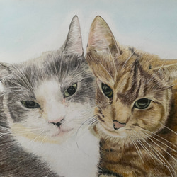 色鉛筆画 猫 犬 ペット オーダーメイド プレゼント 絵画 よこたん 通販