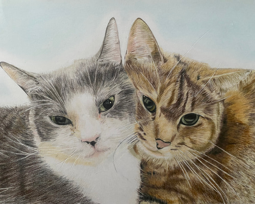 専用　色鉛筆画　絵画　原画　猫　ペット　似顔絵　オーダーページです 色鉛筆画 猫 犬 ペット オーダーメイド プレゼント 絵画 よこたん 通販