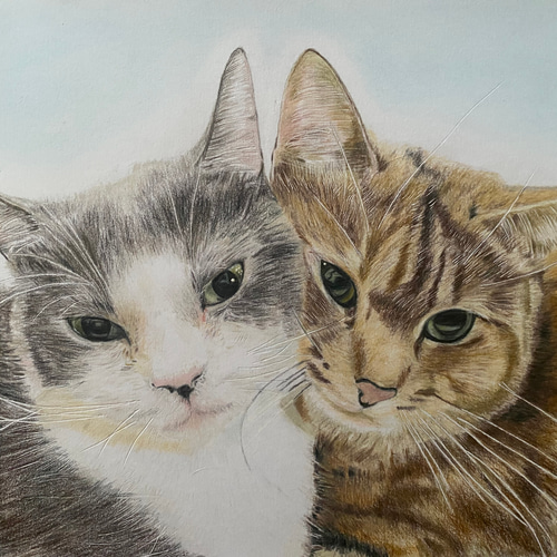 色鉛筆画 猫 犬 ペット オーダーメイド プレゼント 絵画 よこたん 通販
