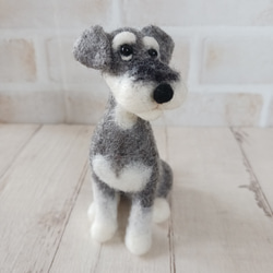 羊毛フェルト　ジャックラッセルテリア　おすわり ジャックラッセルテリアのカプリちゃん，今度はおすわりです