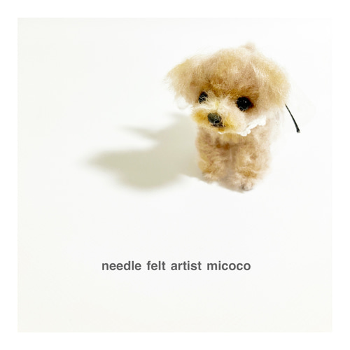 羊毛フェルトマルプー 羊毛フェルト犬/マルプー/マルチーズ/うちの子