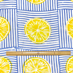 【50cm単位】ホワイトブルーレモン　インド　ハンドブロックプリント生地  コットン 6枚目の画像