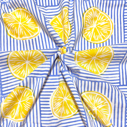 【50cm単位】ホワイトブルーレモン　インド　ハンドブロックプリント生地  コットン 1枚目の画像