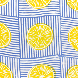 【50cm単位】ホワイトブルーレモン　インド　ハンドブロックプリント生地  コットン 2枚目の画像