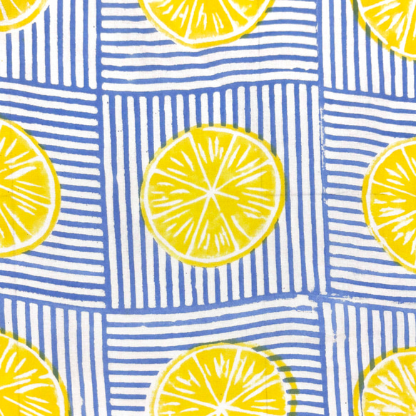 【50cm単位】ホワイトブルーレモン　インド　ハンドブロックプリント生地  コットン 2枚目の画像