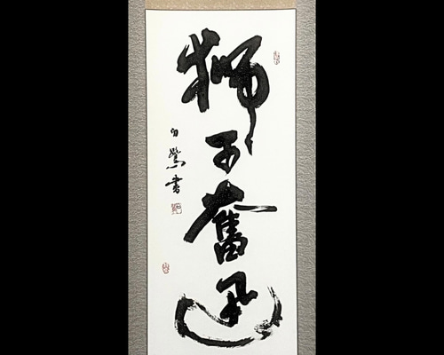 掛軸 書道作品 「獅子奮迅」 力強く突き進む精神を込めて 書道 白鷺
