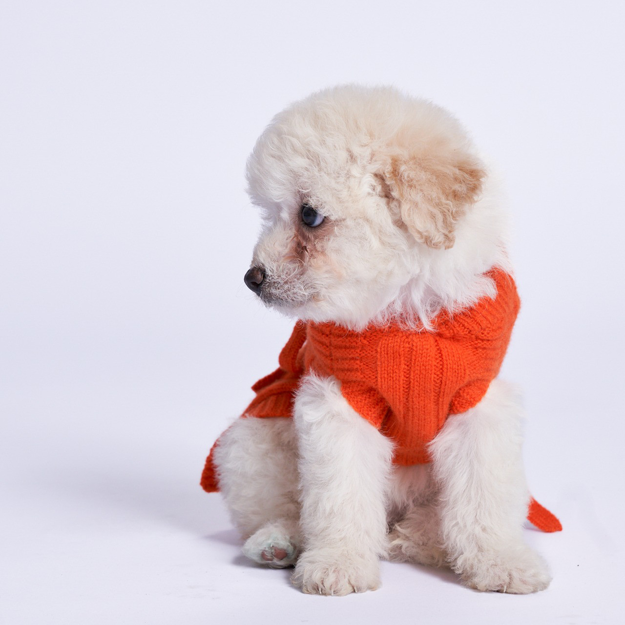 犬服　100%カシミア猫や犬用カーディガン　高級なペット洋服