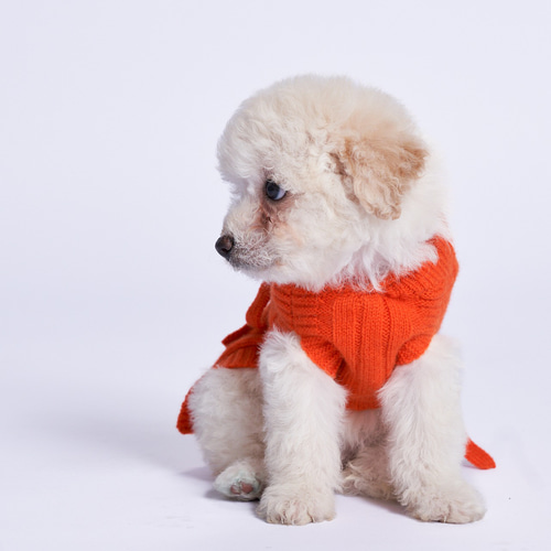 犬服 100%カシミア猫や犬用カーディガン 高級なペット洋服 ペット服
