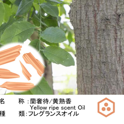 NOTO 蘭奢待オイル10ml　黄熟香 フレグランスアロマオイル 3枚目の画像