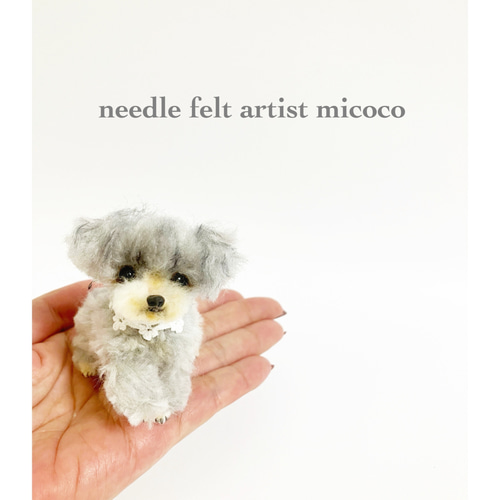うちの子オーダー2025｜羊毛フェルト犬｜トイプー｜トイプーミックス