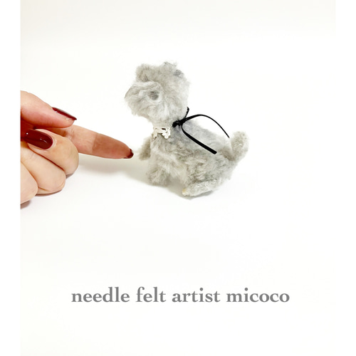 うちの子オーダー2025｜羊毛フェルト犬｜トイプー｜トイプーミックス