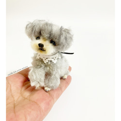 うちの子オーダー2025｜羊毛フェルト犬｜トイプー｜トイプーミックス