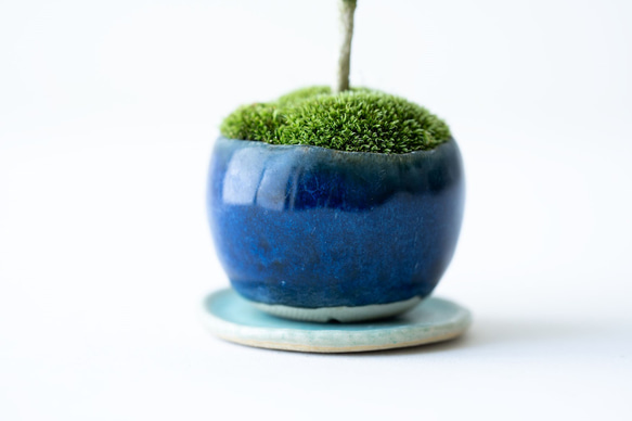 アベリア｜藍色のうつわ 8枚目の画像