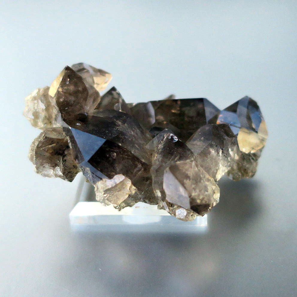 スイスアルプス産スモーキークォーツ クラスター｜原石・鉱物｜天然石 自然 置物【秋冬新作2025】