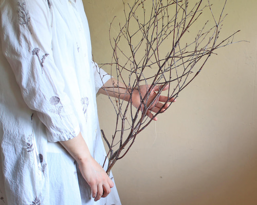 富良野産◇【長さ60～80cm】白樺の枝 ロング ブラウン ドライフラワー