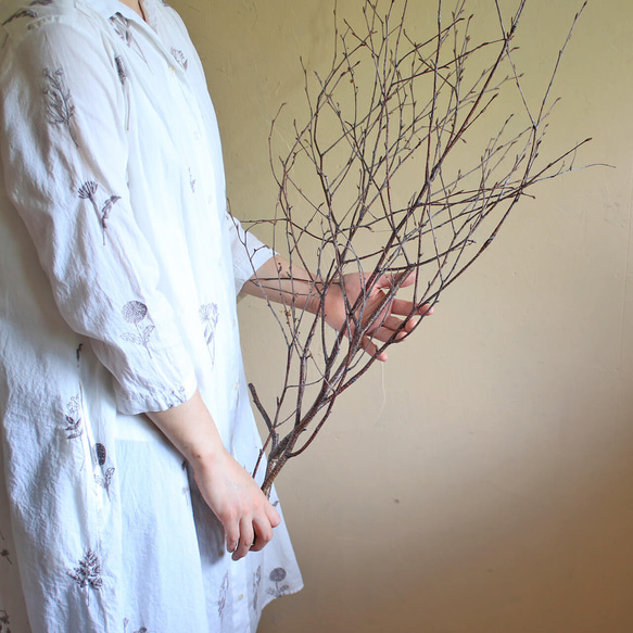 富良野産◇【長さ60～80cm】白樺の枝 ロング ブラウン ドライフラワー