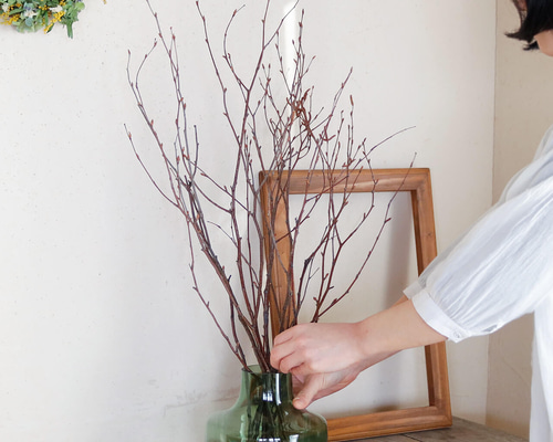 富良野産 枝もの【長さ60～80cm】白樺の枝 ロング ブラウン ドライ