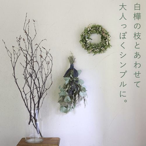 富良野産◇【長さ60～80cm】白樺の枝 ロング ブラウン ドライフラワー