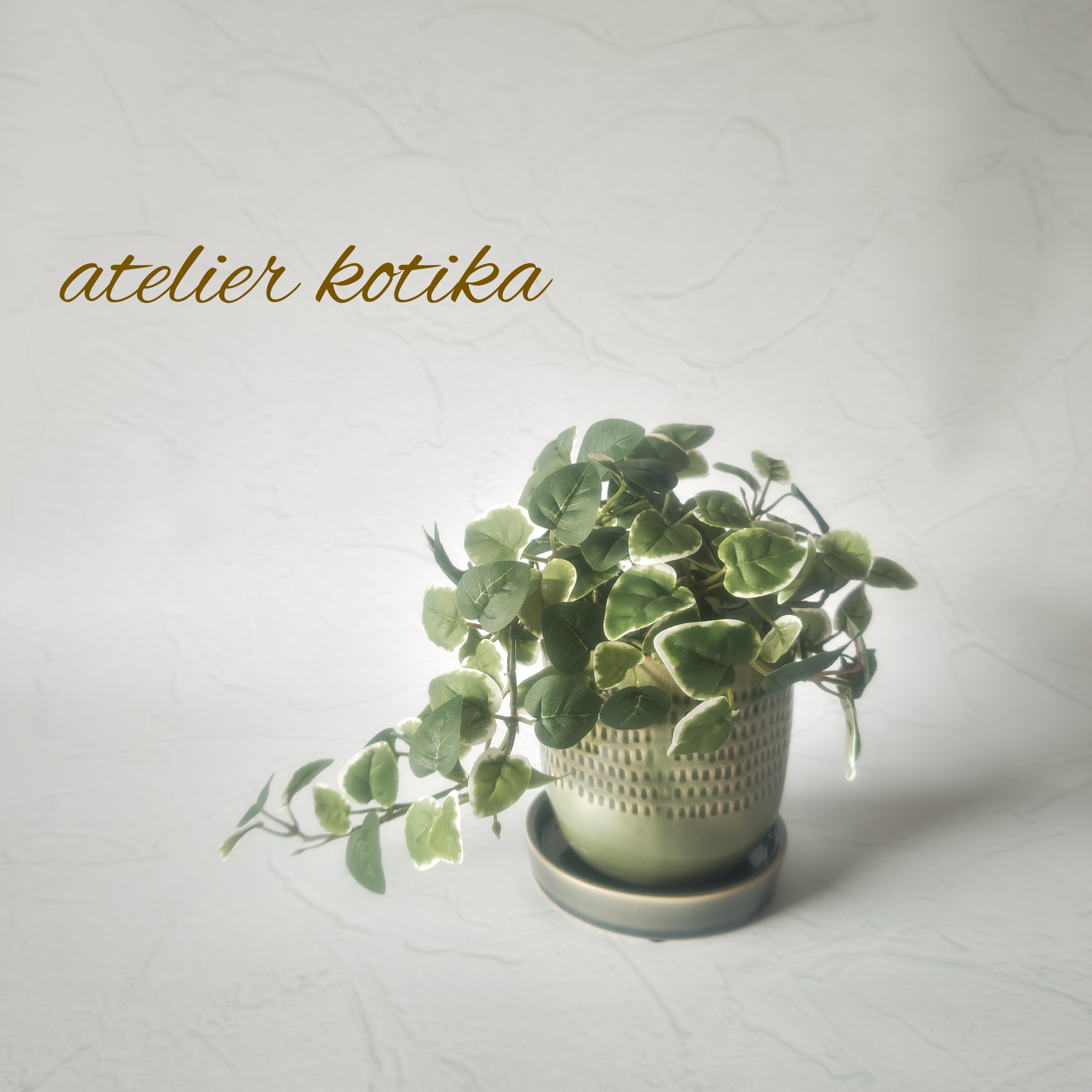 フェイクグリーンの鉢植え(プミラ)／グリーングレイ陶器  人工観葉植物