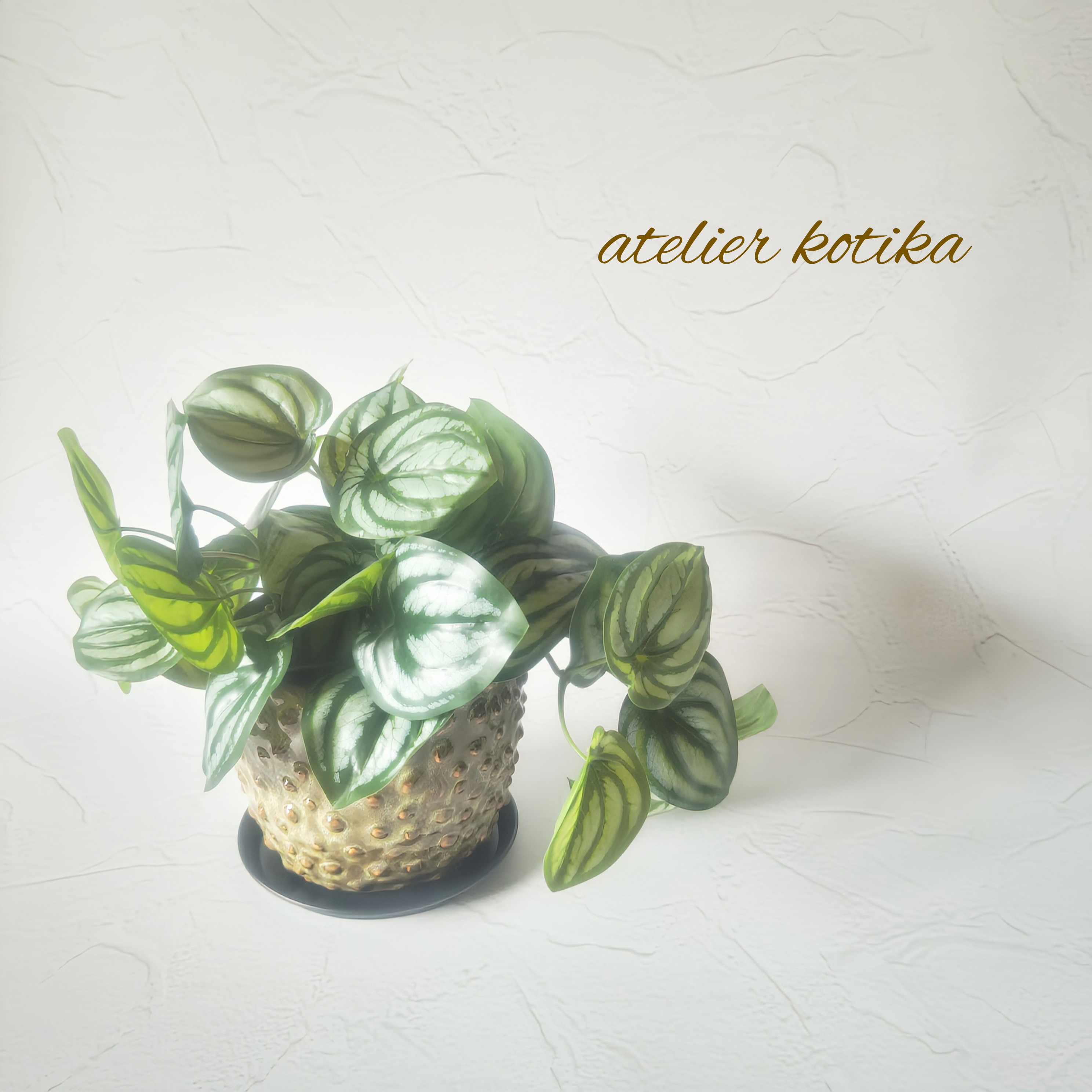 フェイクグリーンの鉢植え(ペペロミア) ／ブラウン陶器  人工観葉植物