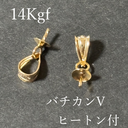 1個～  14kgf バチカン V  選べる3種 4枚目の画像