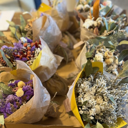 スターチス＆ブルーファンタジア、ユーカリリース リース SERAM 通販