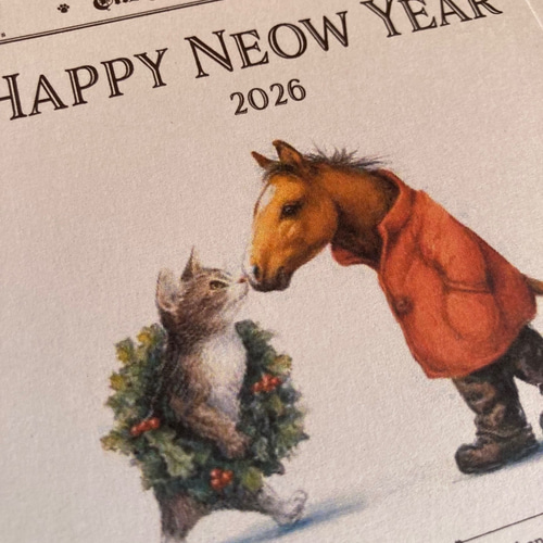 2026Happy Neow Year☆5枚セット☆年賀状☆ニューイヤーカード☆猫の