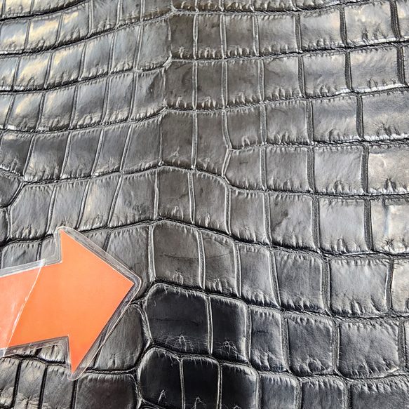 ワニ革 クロコ 半艶マット  黒　No.C008959 12枚目の画像