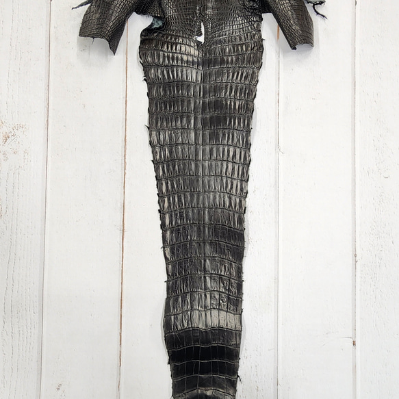 ワニ革 クロコ 半艶マット  黒　No.C008959 4枚目の画像