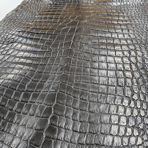 ワニ革 クロコ 半艶マット  黒　No.C008959 15枚目の画像
