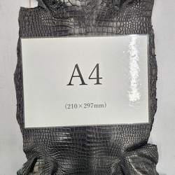 ワニ革 クロコ 半艶マット  黒　No.C008959 7枚目の画像