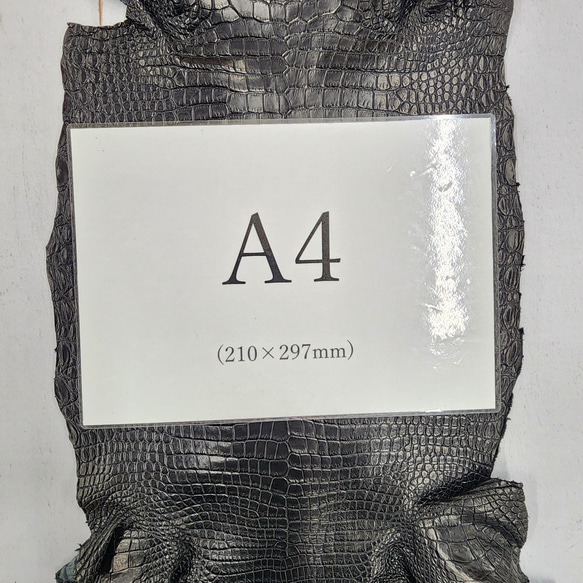 ワニ革 クロコ 半艶マット  黒　No.C008959 7枚目の画像