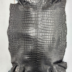 ワニ革 クロコ 半艶マット  黒　No.C008959 3枚目の画像