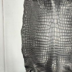 ワニ革 クロコ 半艶マット  黒　No.C008959 13枚目の画像