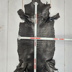 ワニ革 クロコ 半艶マット  黒　No.C008959 5枚目の画像